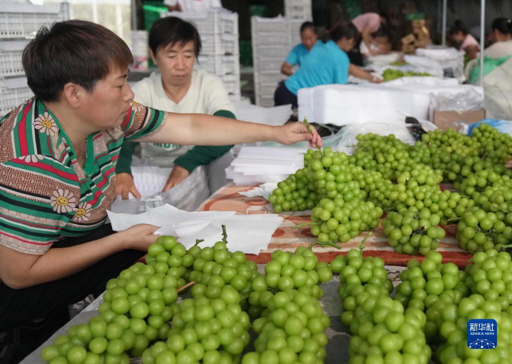 帝豪棋牌怎么样